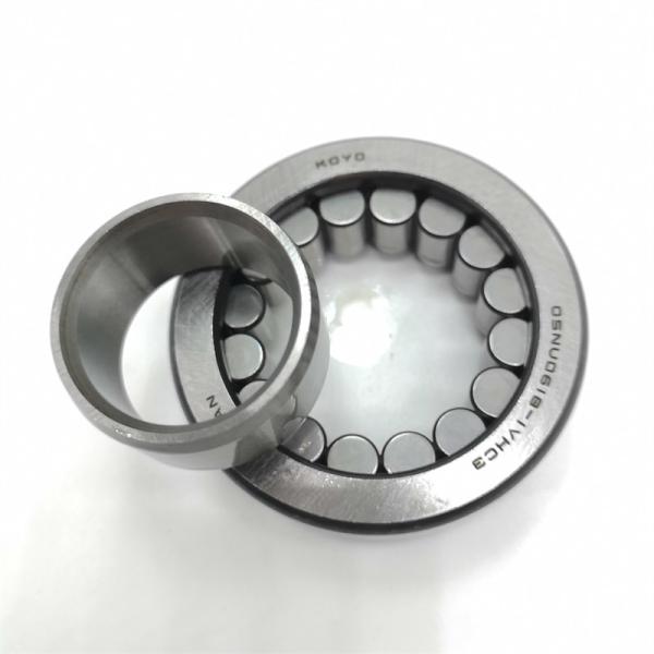 Stainless Steel Cylindrical Roller Bearing 05NU0618-1VHSH6C3 25x57x18 mm 1 YEAR