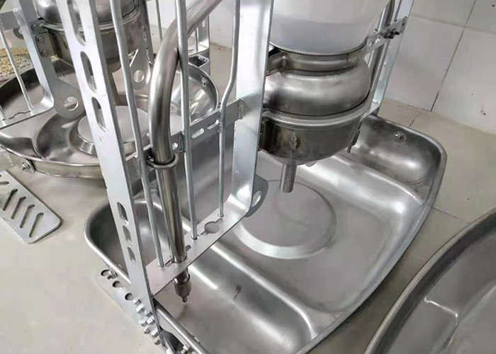 40-60 Pigs Automatic Pig Feeder 80kg Dry Wet Piglet Feeder