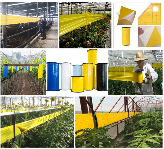 300mm Sticky Glue Trap Board Making Machine For Agriculture