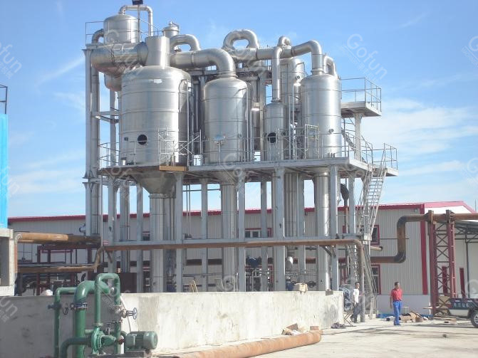 20T/H Automatic Tomato Processing Machine 304 Stainless Steel