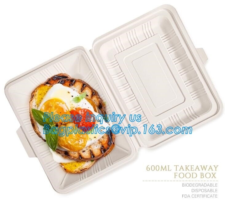Meal Prep Containers Free Sample Bento Lunch Box Biodegradable Food Container Plastic Wheat Straw Lunch Box bagplastics