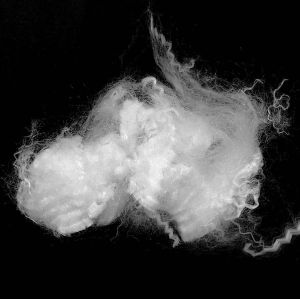 Non Toxic Polylactic Acid Biodegradable Fiber With Excellent Processing