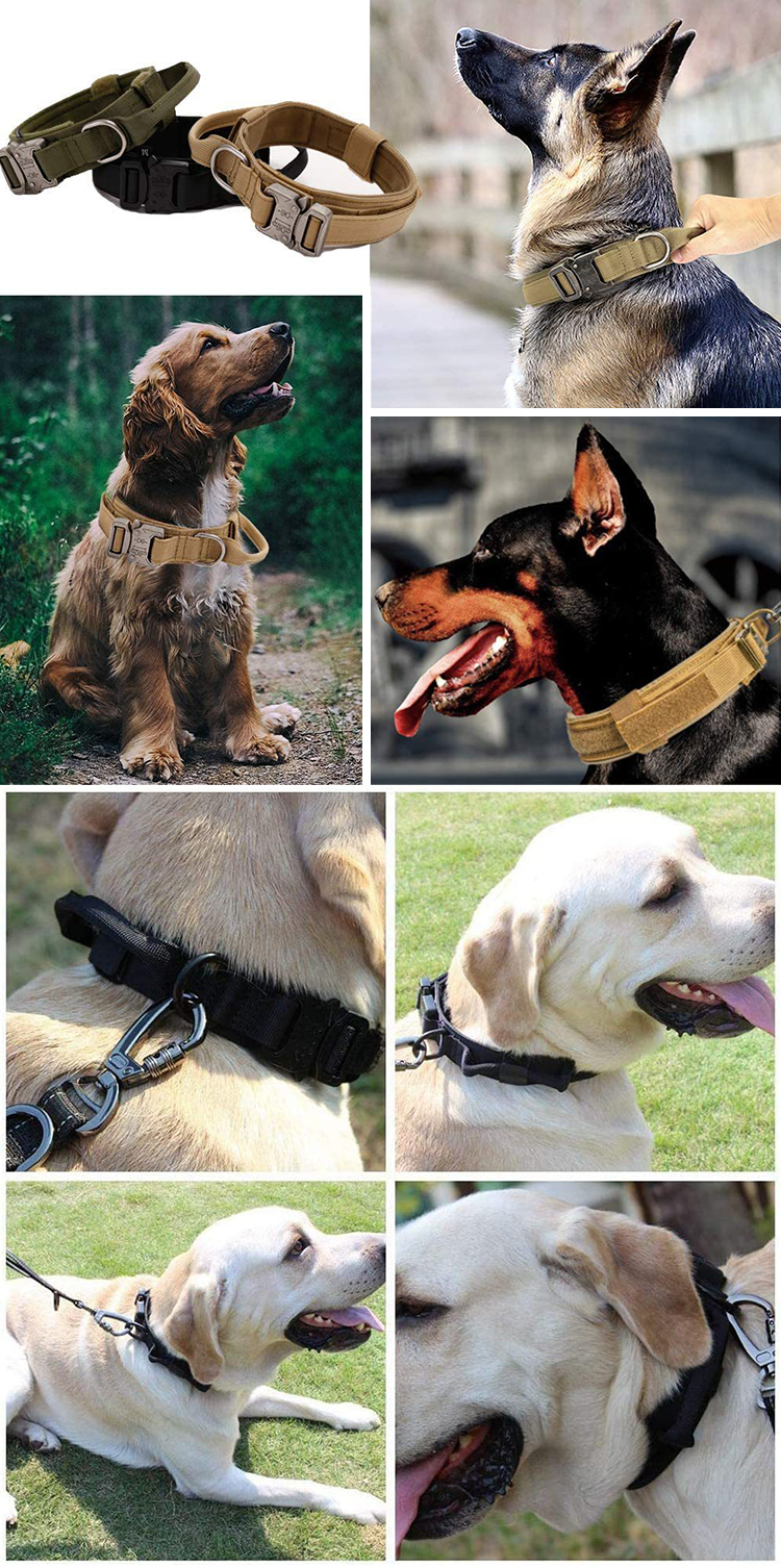 Personalized Custom Luxury Designer Nylon Metal Heavy Duty Training Pet Rope Large Dog Collar and Leash Set for Tactical K9s