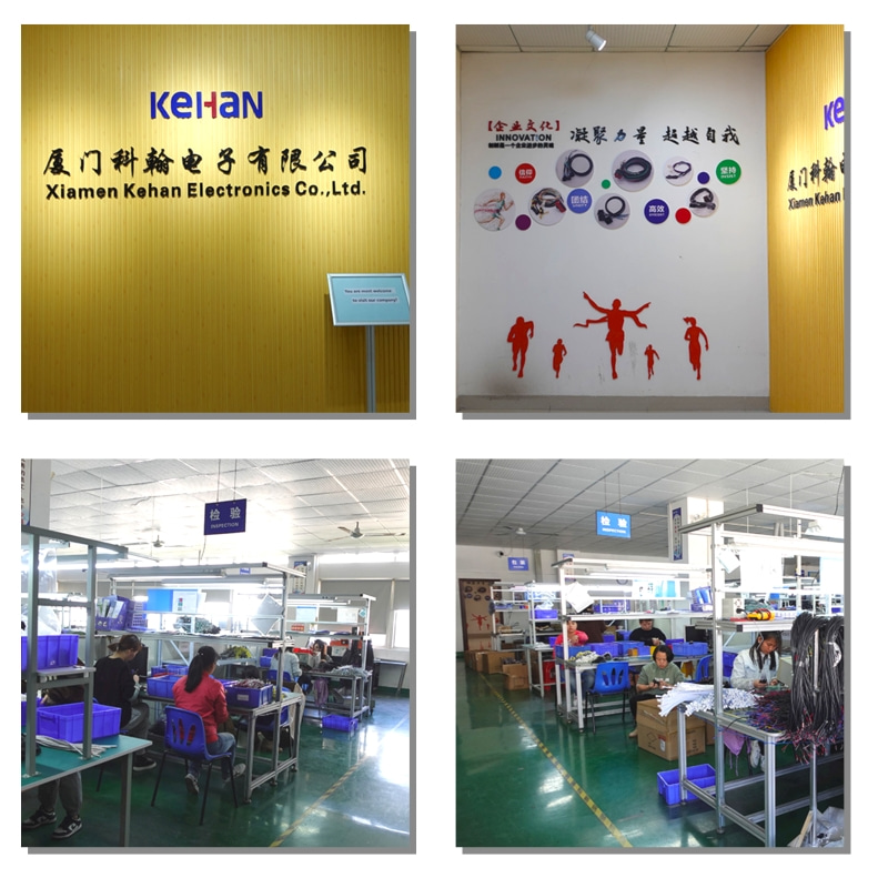 Custom Integrated Circuits Wire Harness for OEM Brake Controller Customized Solution