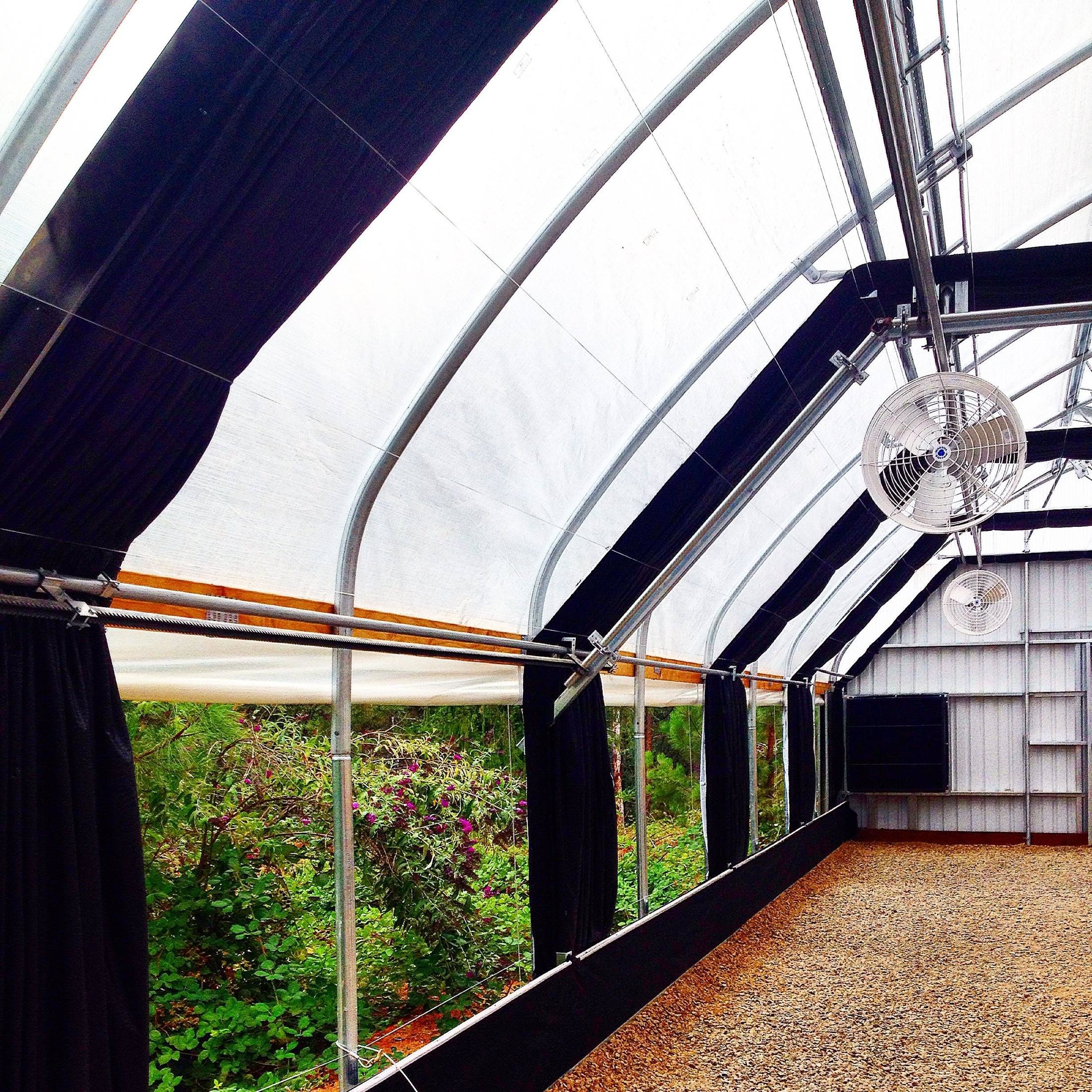 Medicinal Plant Small Light Dep Greenhouse , PE Film Automated Blackout Greenhouse