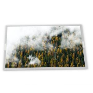  M240HW01 V.8 Modules 24.0-Inch WLED High Resolution TFT LCD Display Module 1920*1080 ODM Manufactures