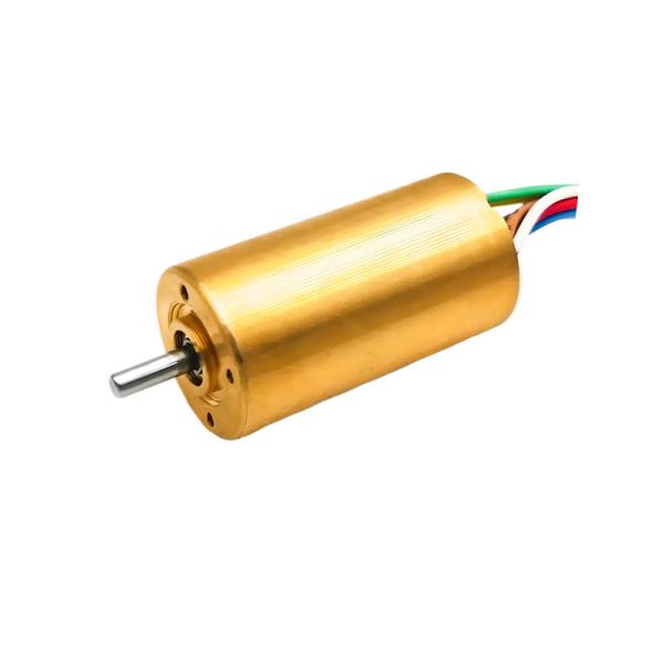 20mm Brushless DC Electric Motor 12V to 36V 13W 20W 18880rpm Customizable