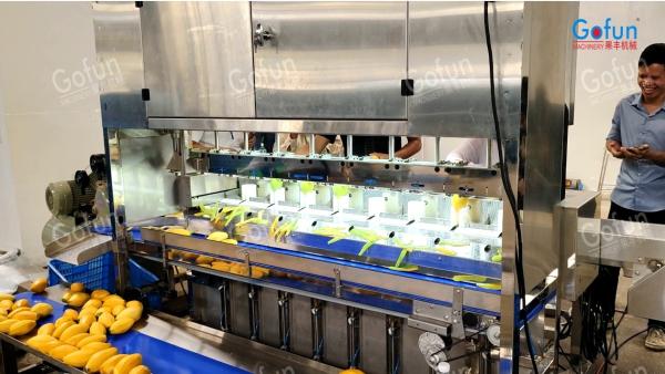 Stainless Steel Mango Peeling Machine Suitable For Apples Potatoes Carrots Etc.