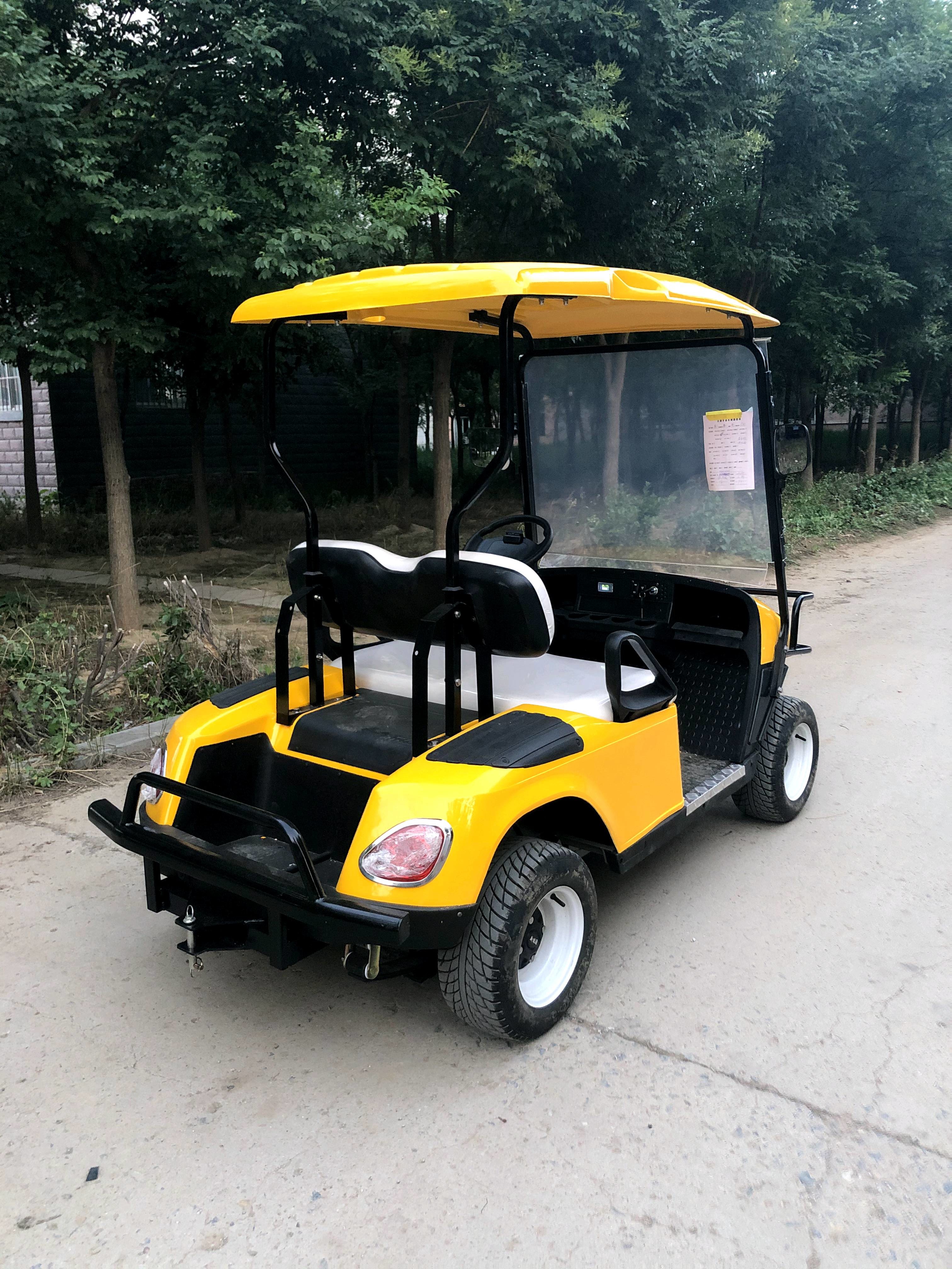 Spacious 2-Person Electric Golf Cart with LED Lights and Under Seat Storage