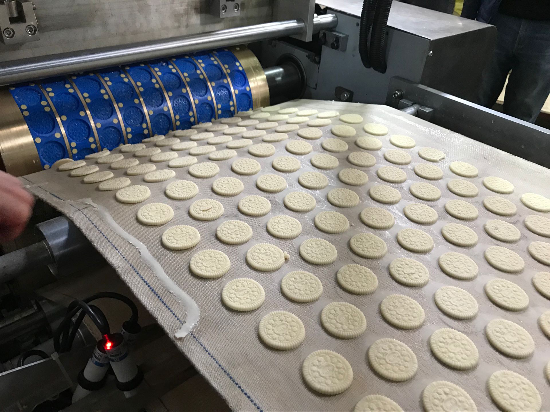 Small Model 400 MM Biscuit Making Machine Small Capacity Biscuit Production Line