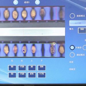 Advanced Size Division 2.0 Tons Per Hour 8-Lane Palm Dates Sorting Machine