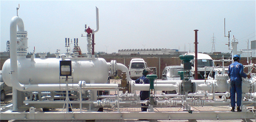 Biogas Project Industrial Gas Liquid Separator with 380V Voltage at Paper Mill
