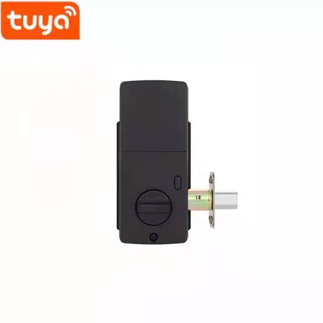 Aluminum Alloy Residential Electronic Lock Fingerprint Smart Lock Tuya App