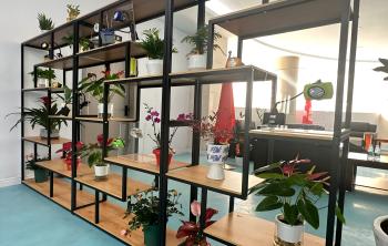 GREEN LIGHTING TECHNOLOGY CO.,LTD