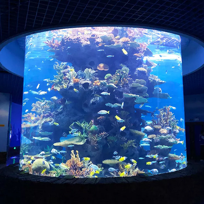 Uv Resistant 6mm Aquarium Transparent Perspex Acrylic Sheet Cut To Size