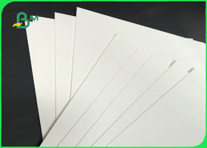 absorbent paper 