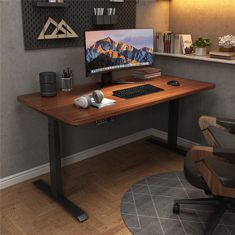 Electric Height Adjustable Study Table for Home Office Small Size Dual Motor 2 Stage