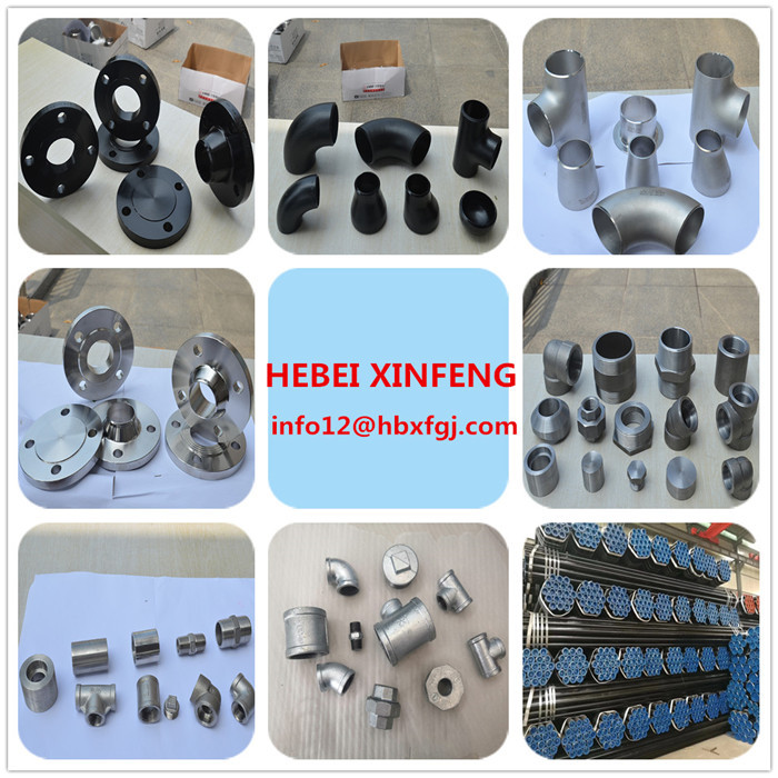 DIN EN10253-1 Butt Welding Elbow Tee Reducer Cap Seamless Welded P235GH P265GH