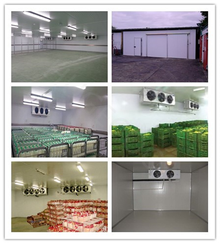 Walk In Cold Room Price