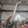 Buy cheap Lifelike Real Animatronic Dinosaur Types Long Neck For Museum from wholesalers