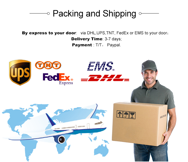 USB Storage IPTV Streaming Encoder Independent Audio Input For Webcasting