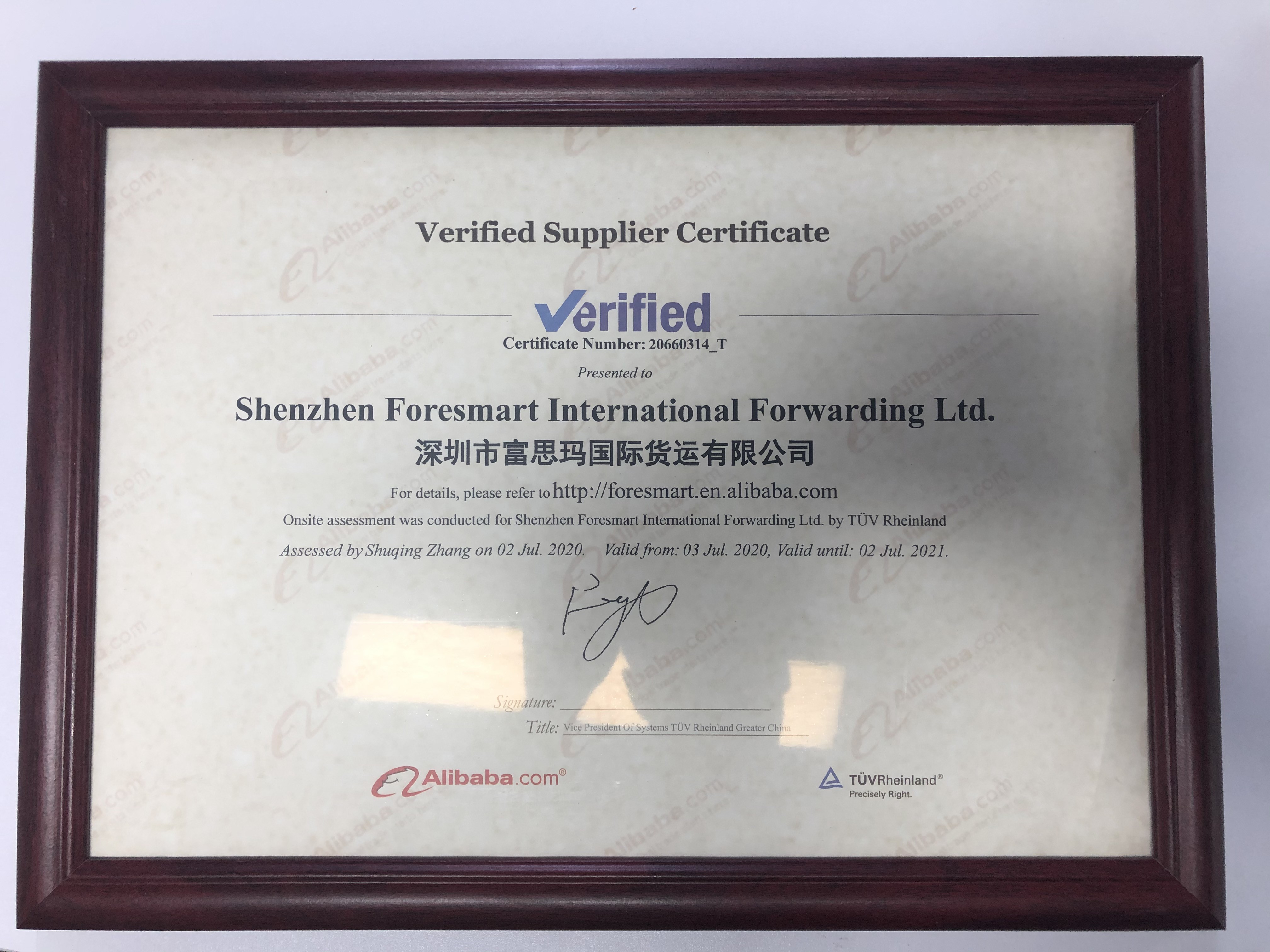Shenzhen To Netherlands FCL Ocean Freight Container Shipping
