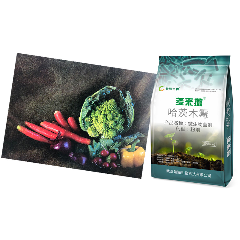 Duolaisa Bio Trichoderma Fertilizer Prevent Bacterial Wilt Root