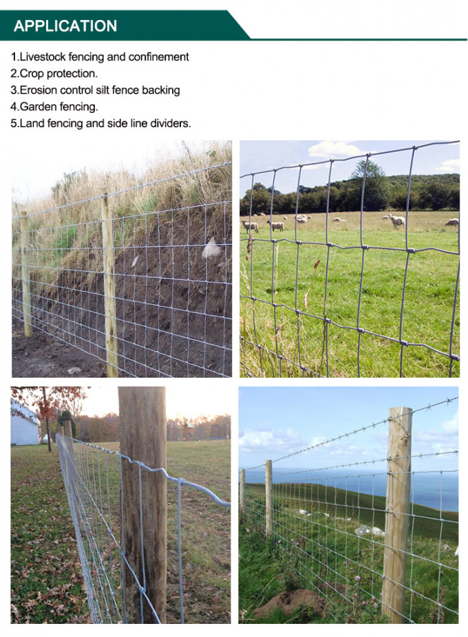 Livestock Hot Dipped Galvanised Farm Deer Fencing 80cm High
