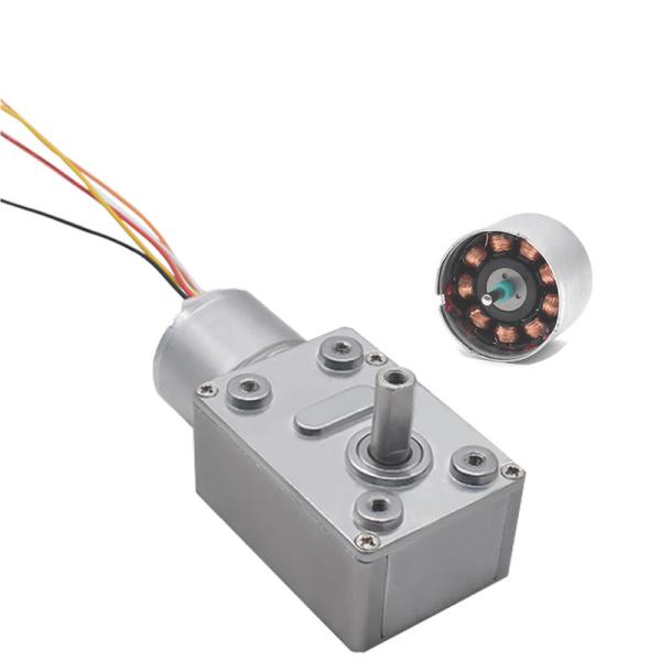 Faradyi Customized Robot Dc Brushless 12v Worm Gear Speed Reduction Motor Worm