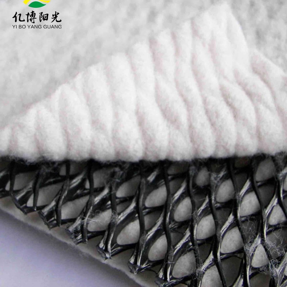 HDPE Composite Geonet Plastic Geocomposite for Drainage and Protection Installations