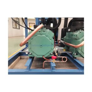 Screw Type - Single Stage Parallel Connection Optimized Cooling Solution With