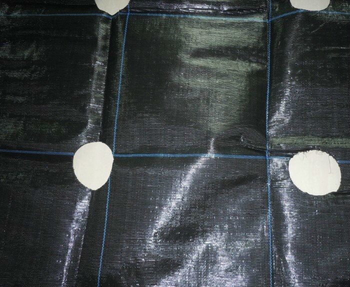 PP Black - Green Biodegradable Landscape Fabric For Stop Grass Growing
