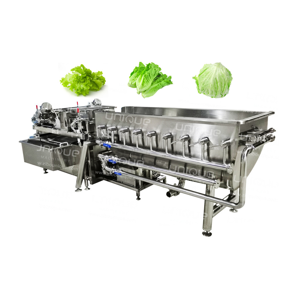 Restaurant Fresh Cut Salad Lettuce Vegetable Washing Machine with 4.26 kw Efficiency