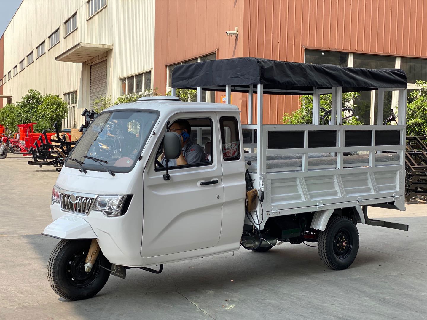 Custom Color Body Overall Frame 800cc Car Engine Motorcycle Tricycle for Adult 3 Wheel