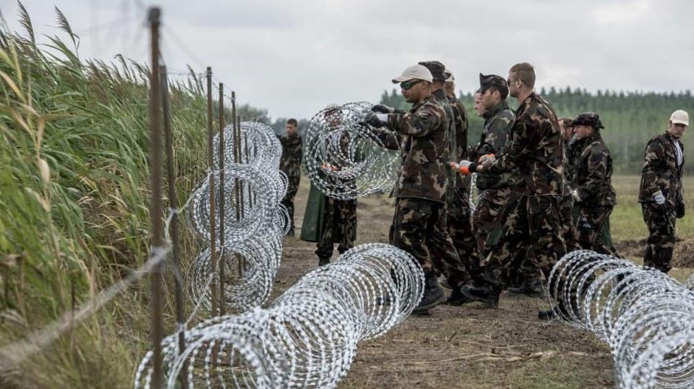 razor wire