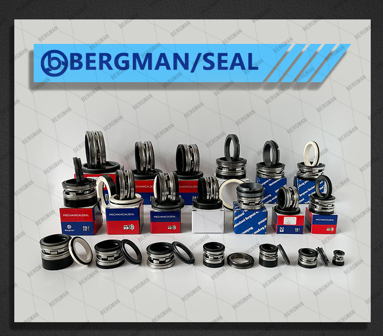 BERGMAN 208T-10mm-45mm Pipeline Pump Mechanical Seal NBR VITON EPDM Material