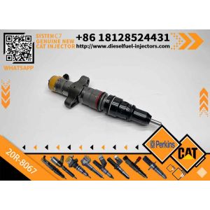 Diesel Engine Parts Common Rail Fuel Injector 20R-8066 for CAT C7 Diesel Engine