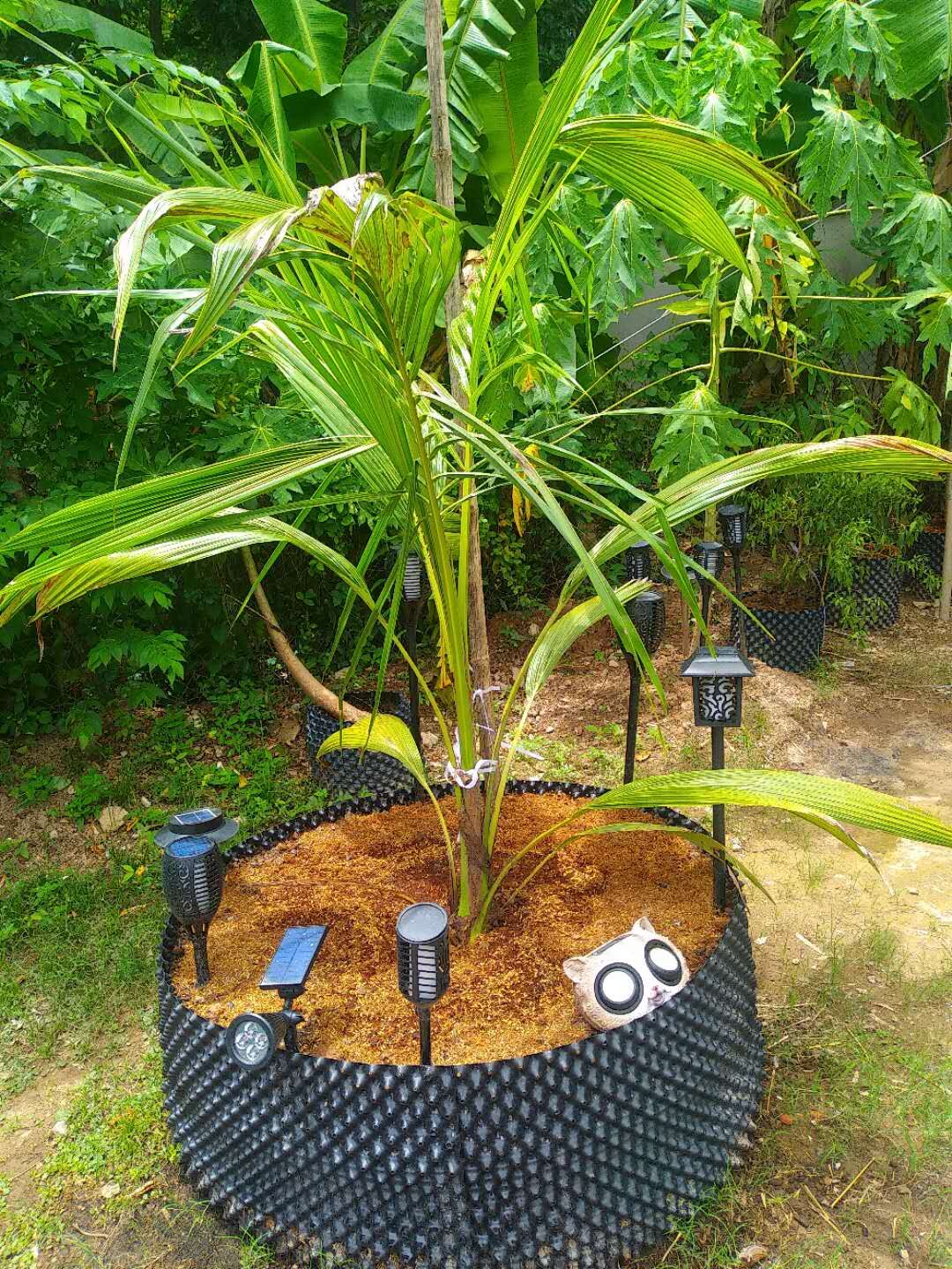 Air prunr pot Root pot fast growth container nursery tree pot from Factory Selling