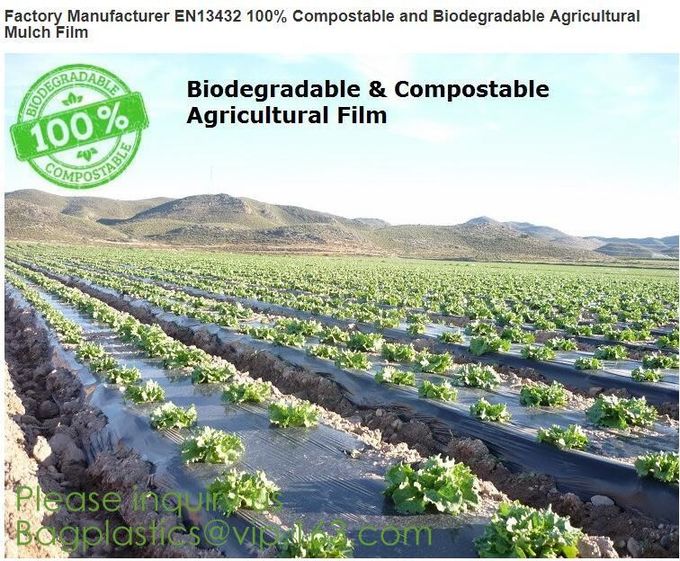 Eco friendly Compostable Biodegradable commercial bags,100% Environment Friendly Compostable Cornstarch Garbage Bags pac