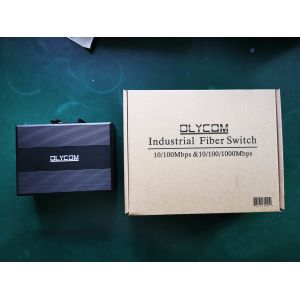 Giabit Ethernet Managed Poe Switch