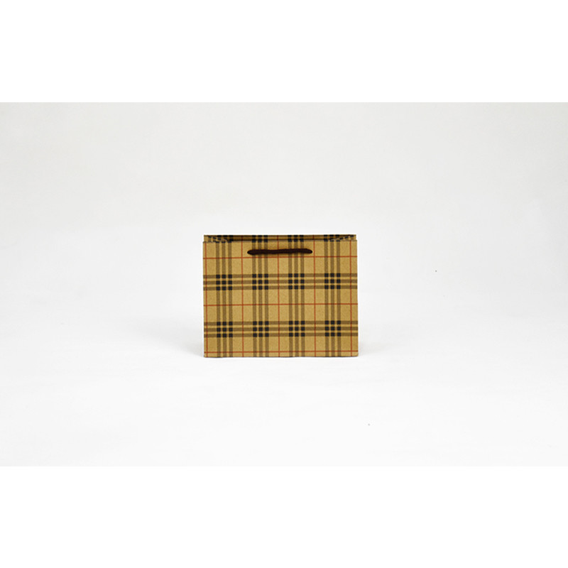 5Kg Weight Capacity Kraft Shopping Paper Bags Eco Friendly Packaging Recycled