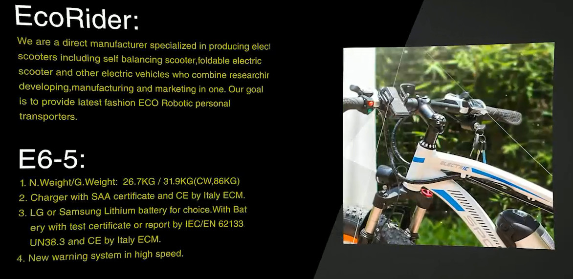 48V 10.4AH Sumsang Lithium Battery 2 Wheel Electric Bike 350W High Rate Motor 26 Inch