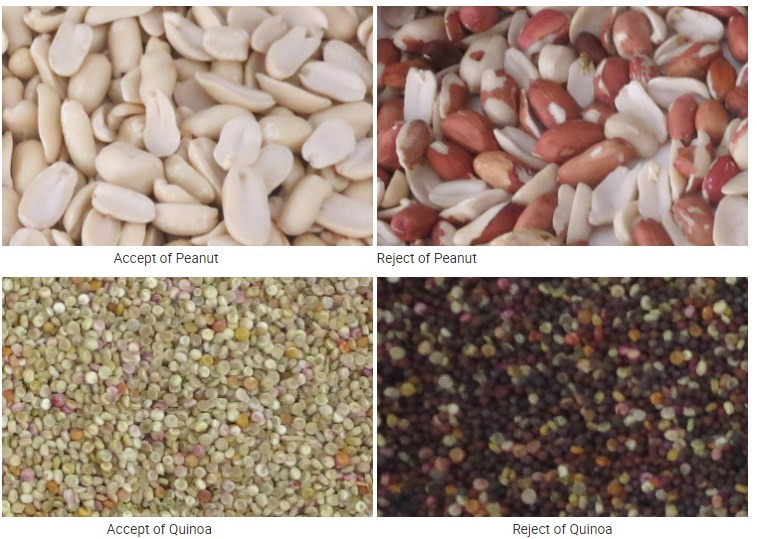 4 Chutes 256 Channels Pecan Sorting Machine CE ISO9001 approval