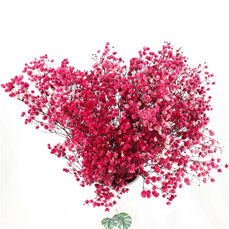 Multicolor Beautiful Dried Flowers Baby'S Breath Wedding Table Decorations