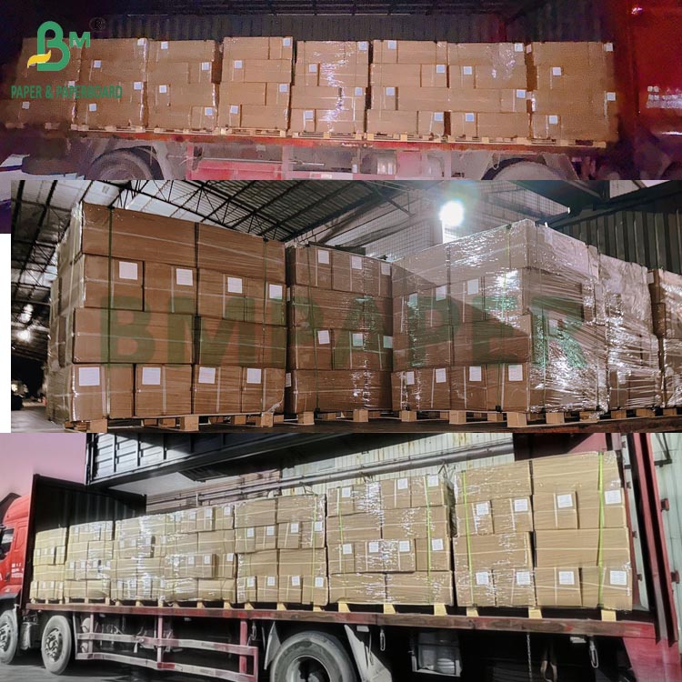 Double-Sided Matte Inkjet Paper Rolls - Premium Coated Media 108g - 220g