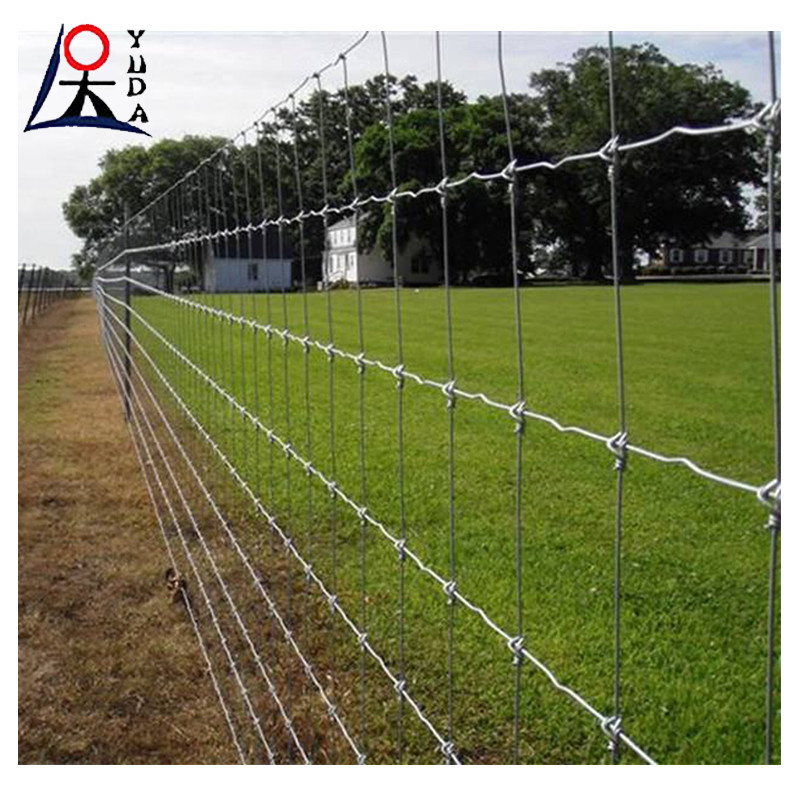 Electro Galvanised Or Hot Dip Galvanised Field Fence Corrosion Resistant