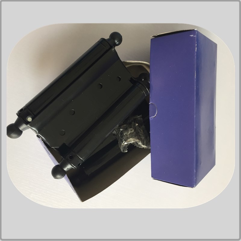 Steel Iron Metal Material Spring Loaded Hinges Double Action Small Size