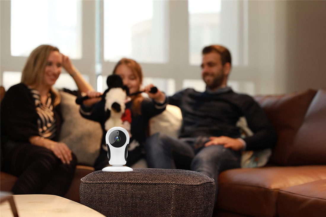 Smart IP Camera(SC-I10)
