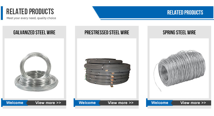 JIS Standard SAE 1006 Cr Hot Rolled Steel Wire Coils Customizable Length