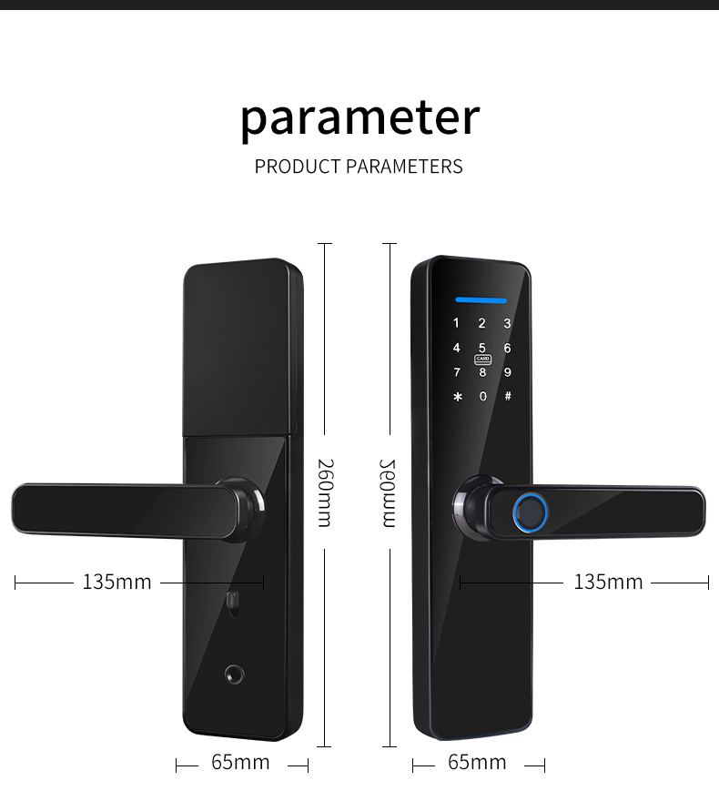 Remote Control Smart Lock TTlock Tuya Fingerprint Interior Door Lock